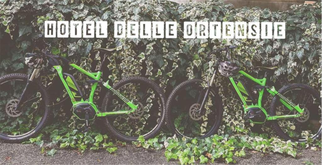 Hotel Delle Ortensie フィウッジ エクステリア 写真